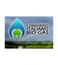 cib governo