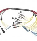 Molex